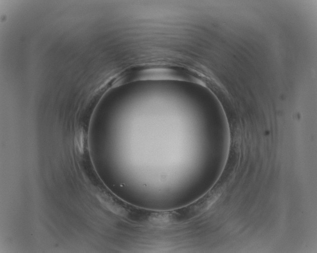 X0000074330076200609011613