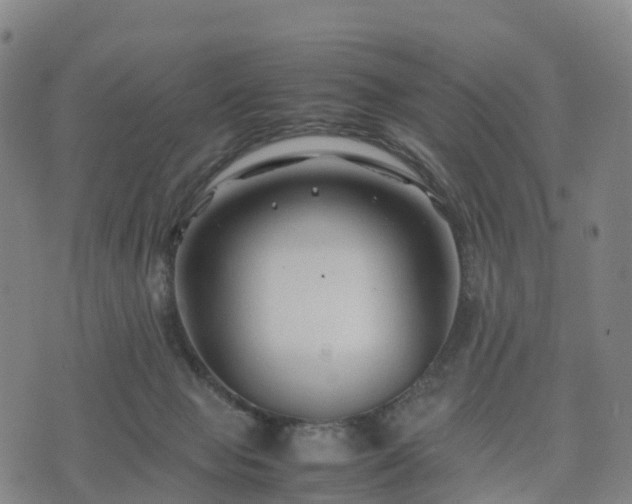 X0000074330077200609011613