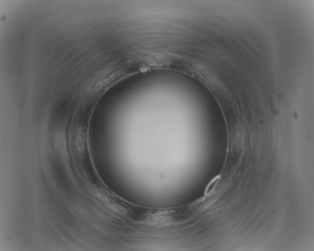 X0000074330078200609011613