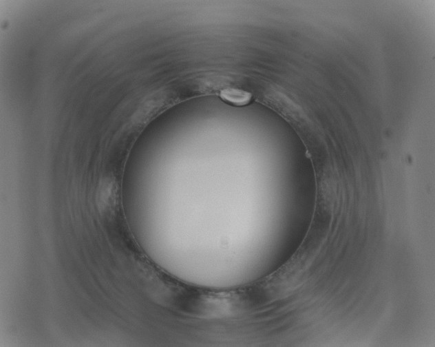 X0000074330079200609011613