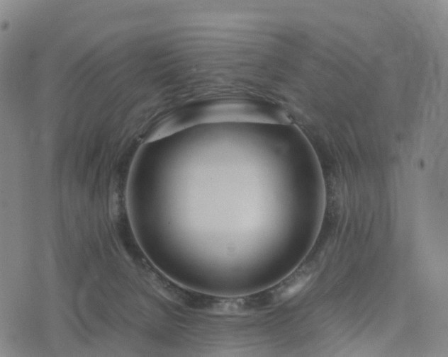 X0000074330080200609011613