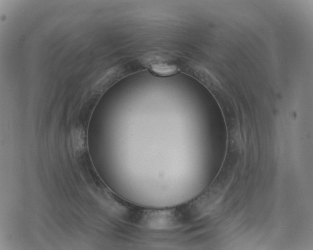 X0000074330081200609011613