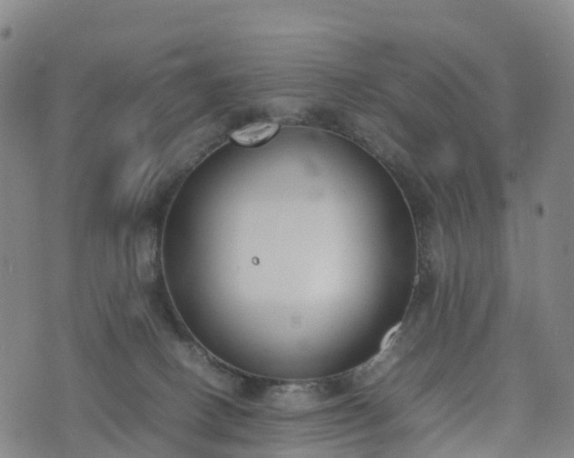 X0000074330082200609011613