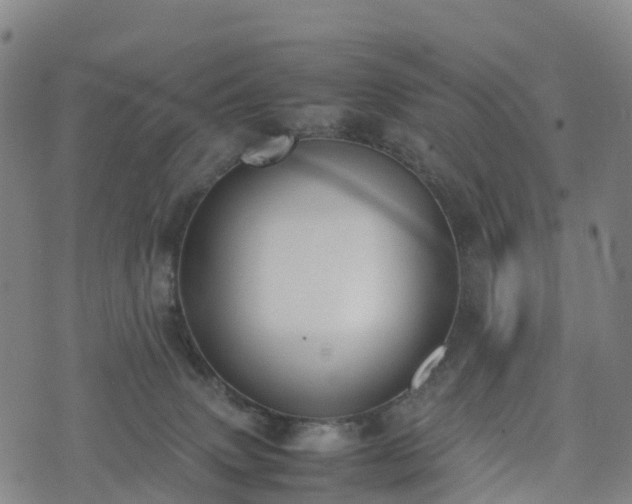 X0000074330083200609011613