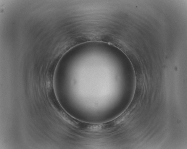 X0000074330084200609011613