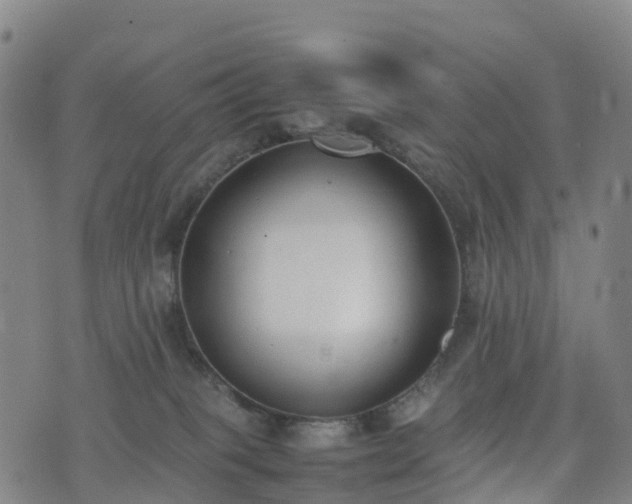 X0000074330085200609011613