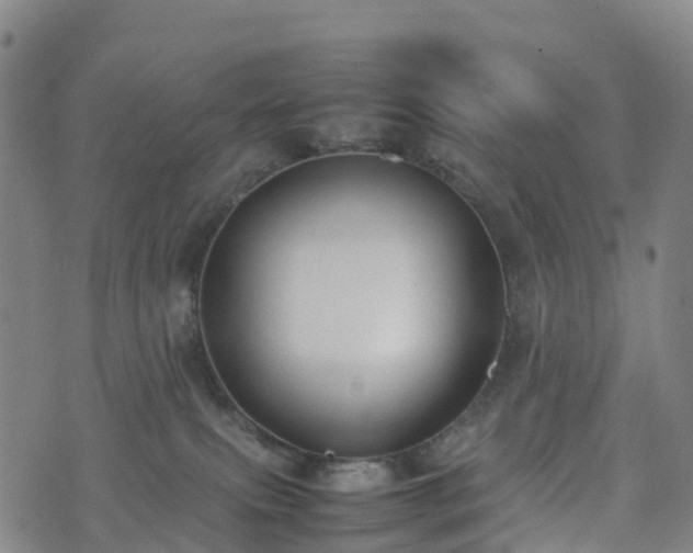 X0000074330087200609011613