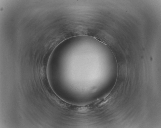 X0000074330088200609011613