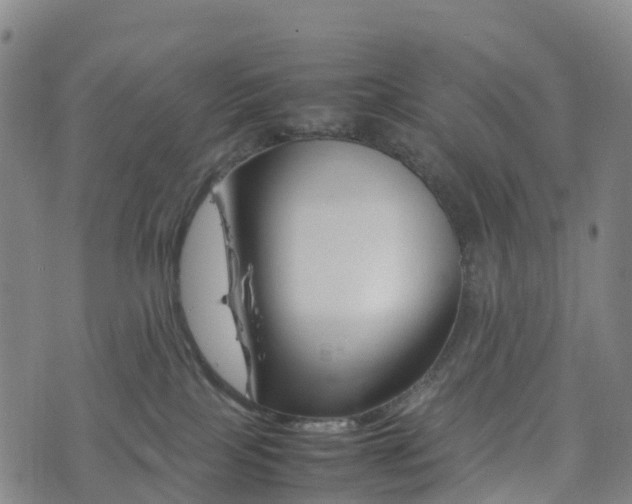 X0000074330089200609011613