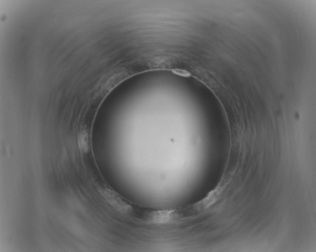 X0000074330090200609011613