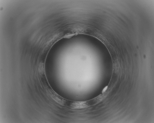 X0000074330093200609011613