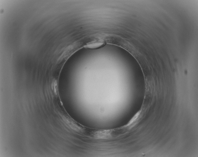 X0000074330094200609011614