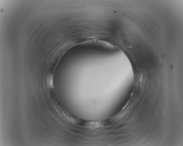 X0000074330095200609011614