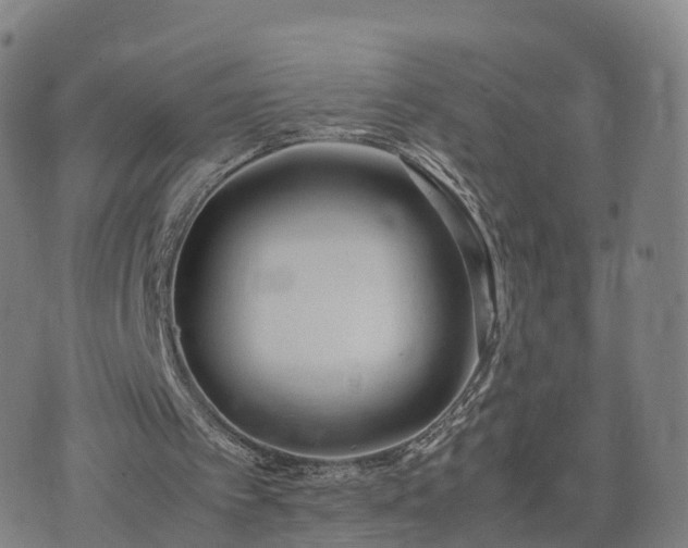 X0000074330097200609011613