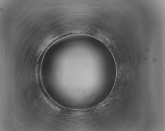 X0000074330098200609011613