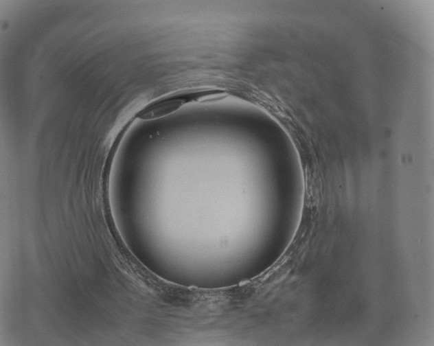 X0000074330099200609011613