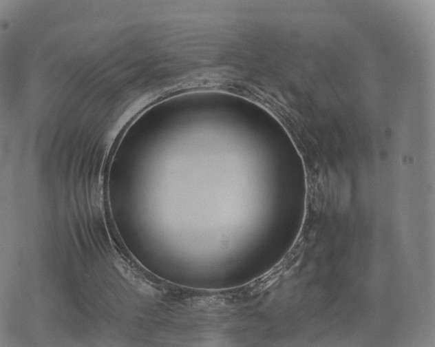 X0000074330100200609011613