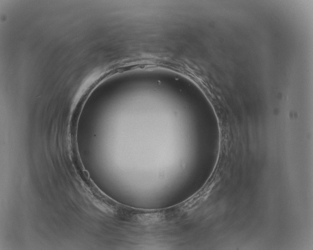 X0000074330102200609011613