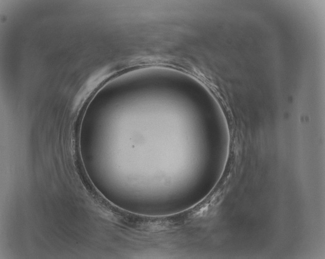 X0000074330103200609011613