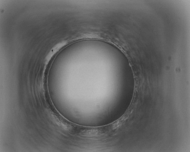 X0000074330104200609011613