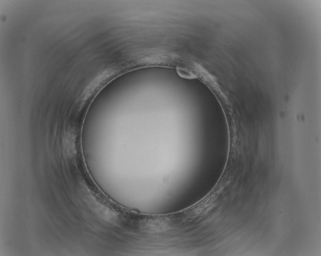 X0000074330106200609011613