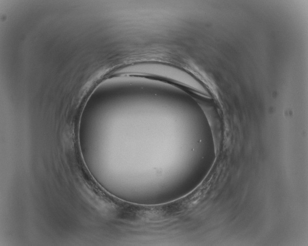 X0000074330107200609011613