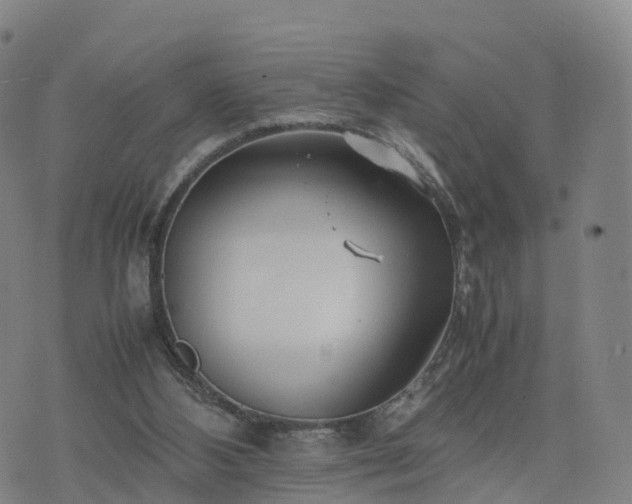 X0000074330108200609011613