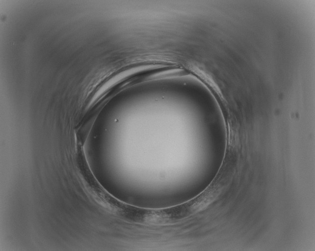 X0000074330109200609011613