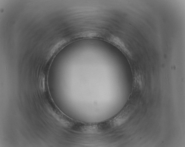 X0000074330110200609011613