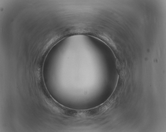 X0000074330111200609011613