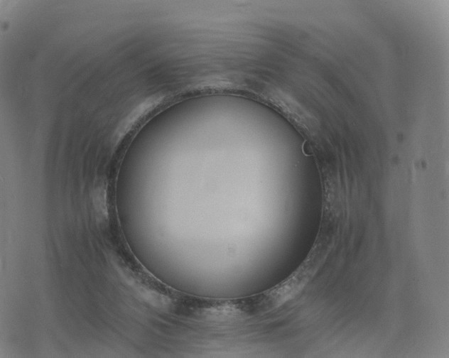 X0000074330112200609011613