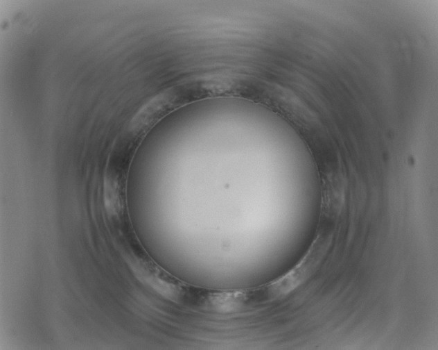 X0000074330136200609011612