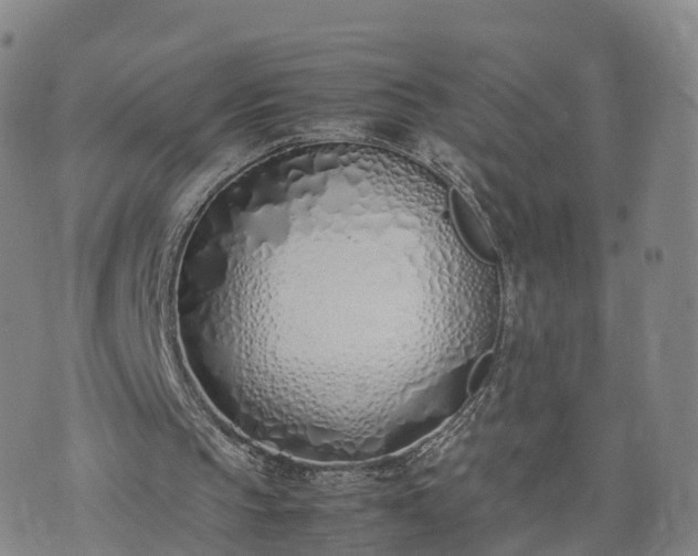 X0000074330145200609011611