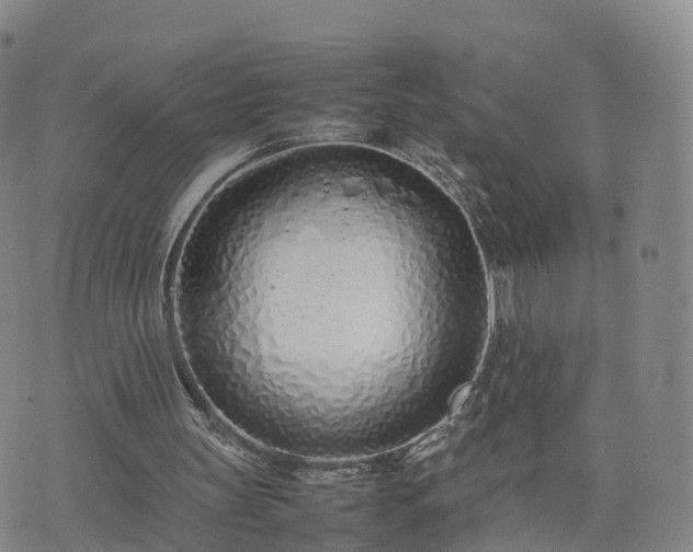 X0000074330147200609011611