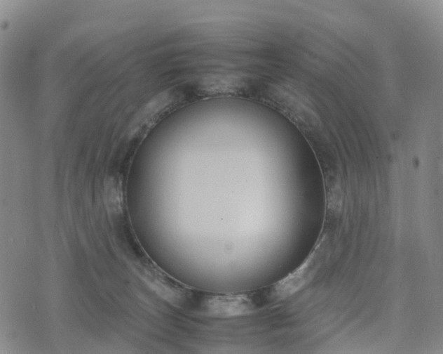 X0000074330179200609011612