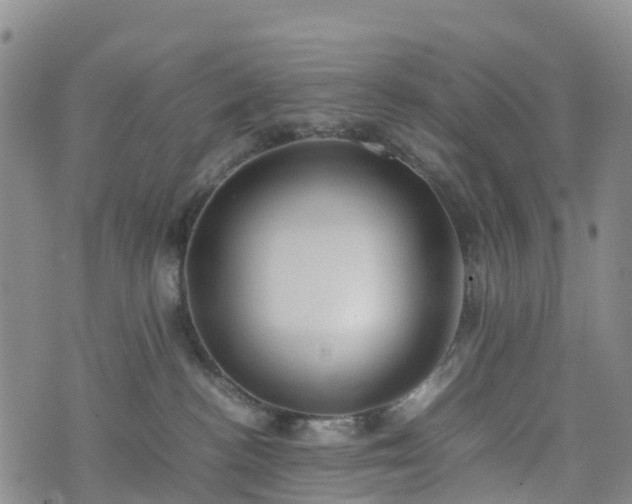 X0000074330188200609011612