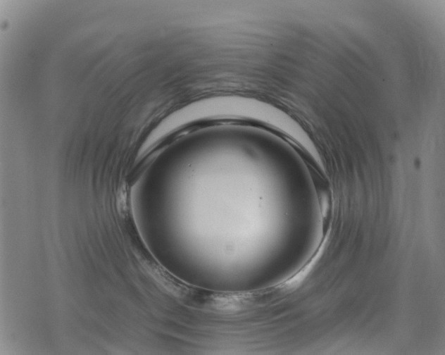 X0000074330190200609011612