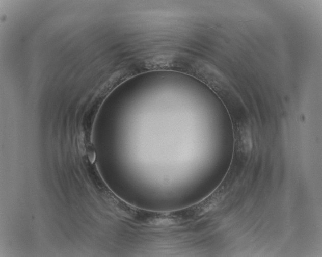 X0000074330224200609011611