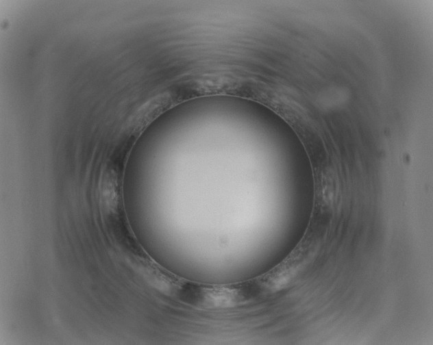 X0000074330226200609011611