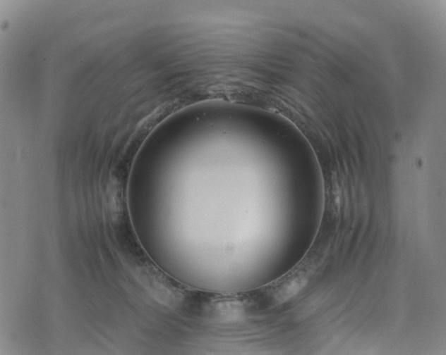 X0000074330228200609011611
