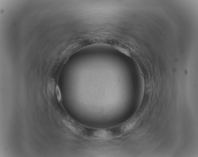X0000074330231200609011611
