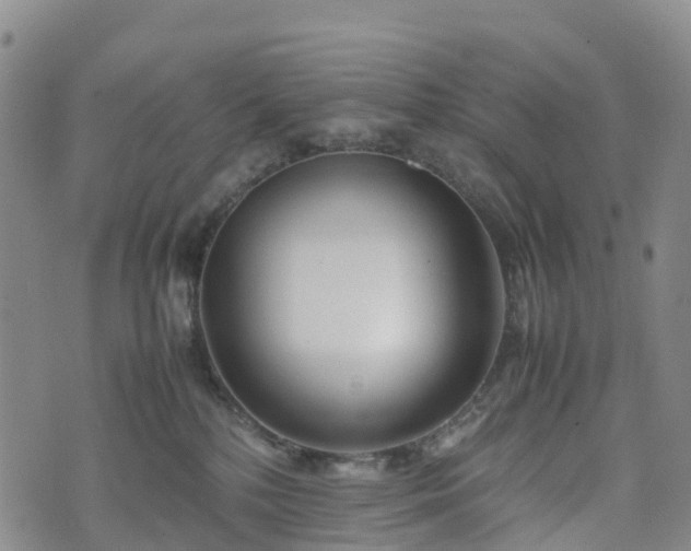 X0000074330232200609011611