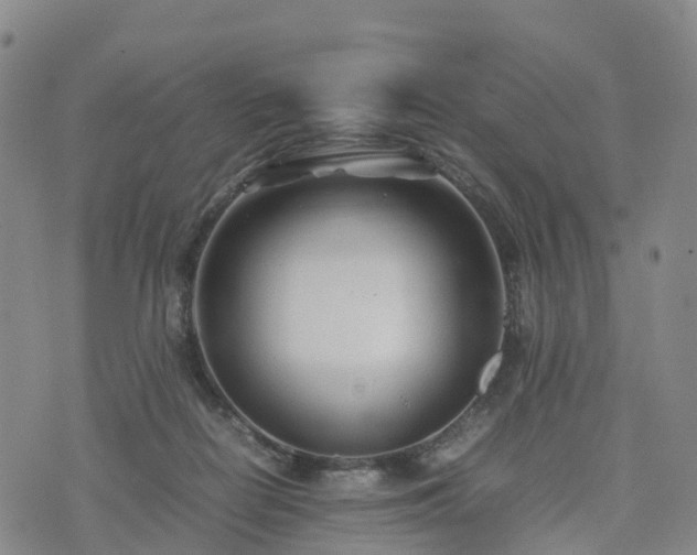 X0000074330266200609011610
