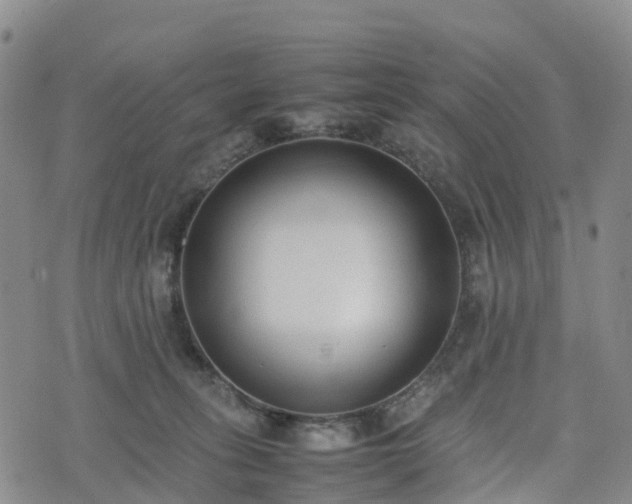 X0000074330275200609011610