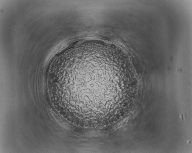 X0000074330293200609011610