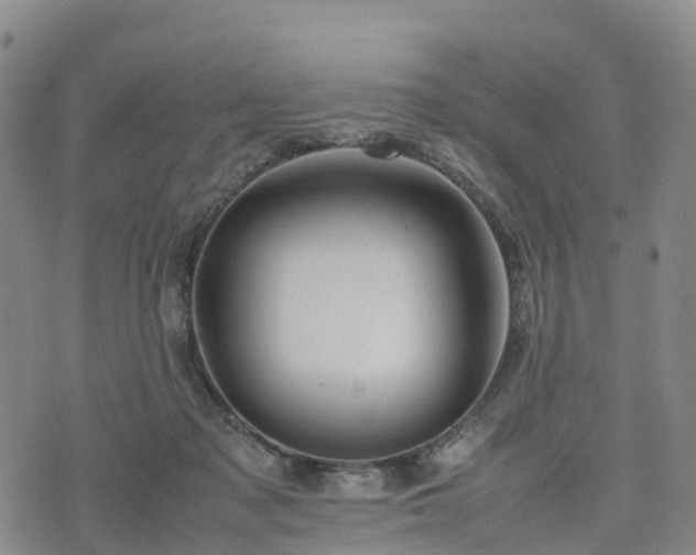 X0000074330317200609011609