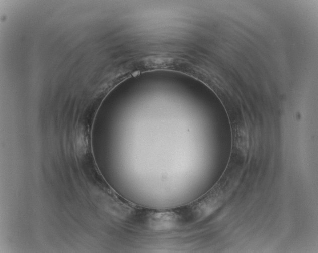 X0000074330324200609011609