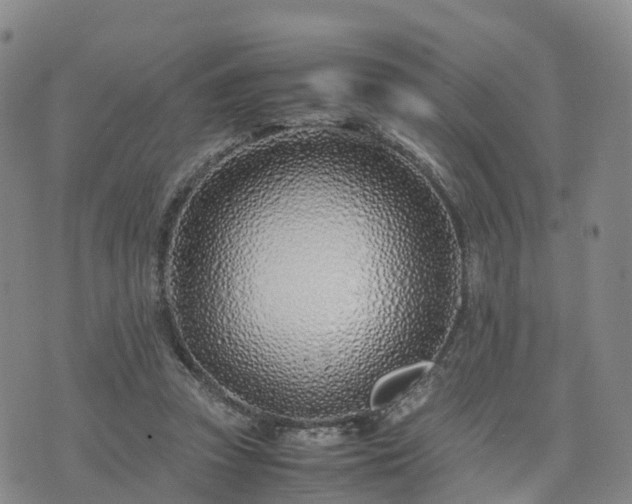 X0000074330353200609011608