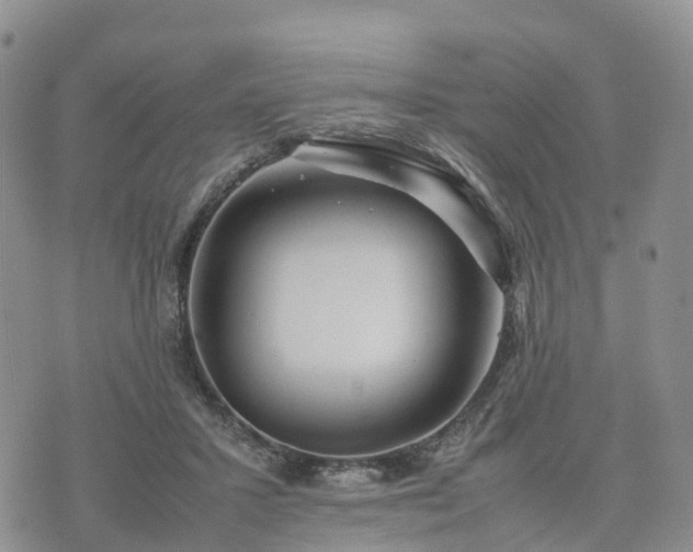 X0000074330407200609011608