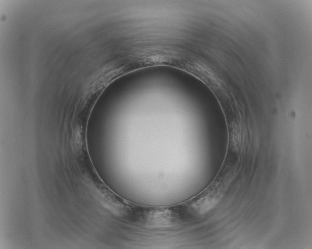 X0000074330410200609011608